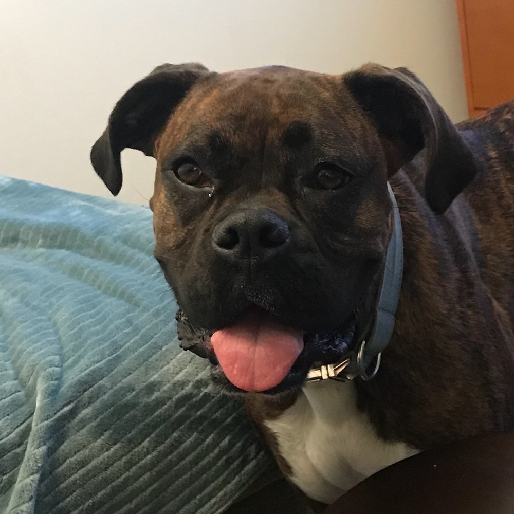 Meet your Posher, Christan